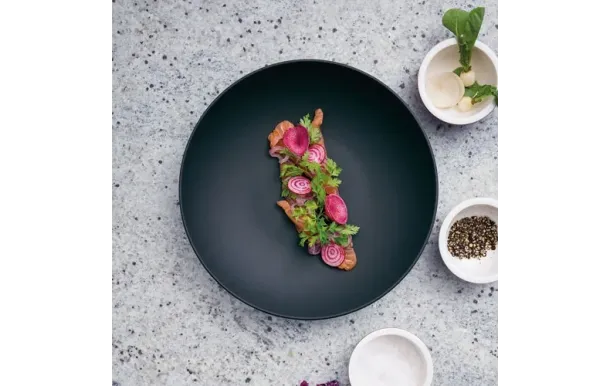 VILLEROY ET BOCH MAN 10-4239-2536